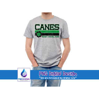 Canes Stripe Grunge
