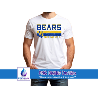 Bears Stripe Grunge (DTF PNG Graphic)